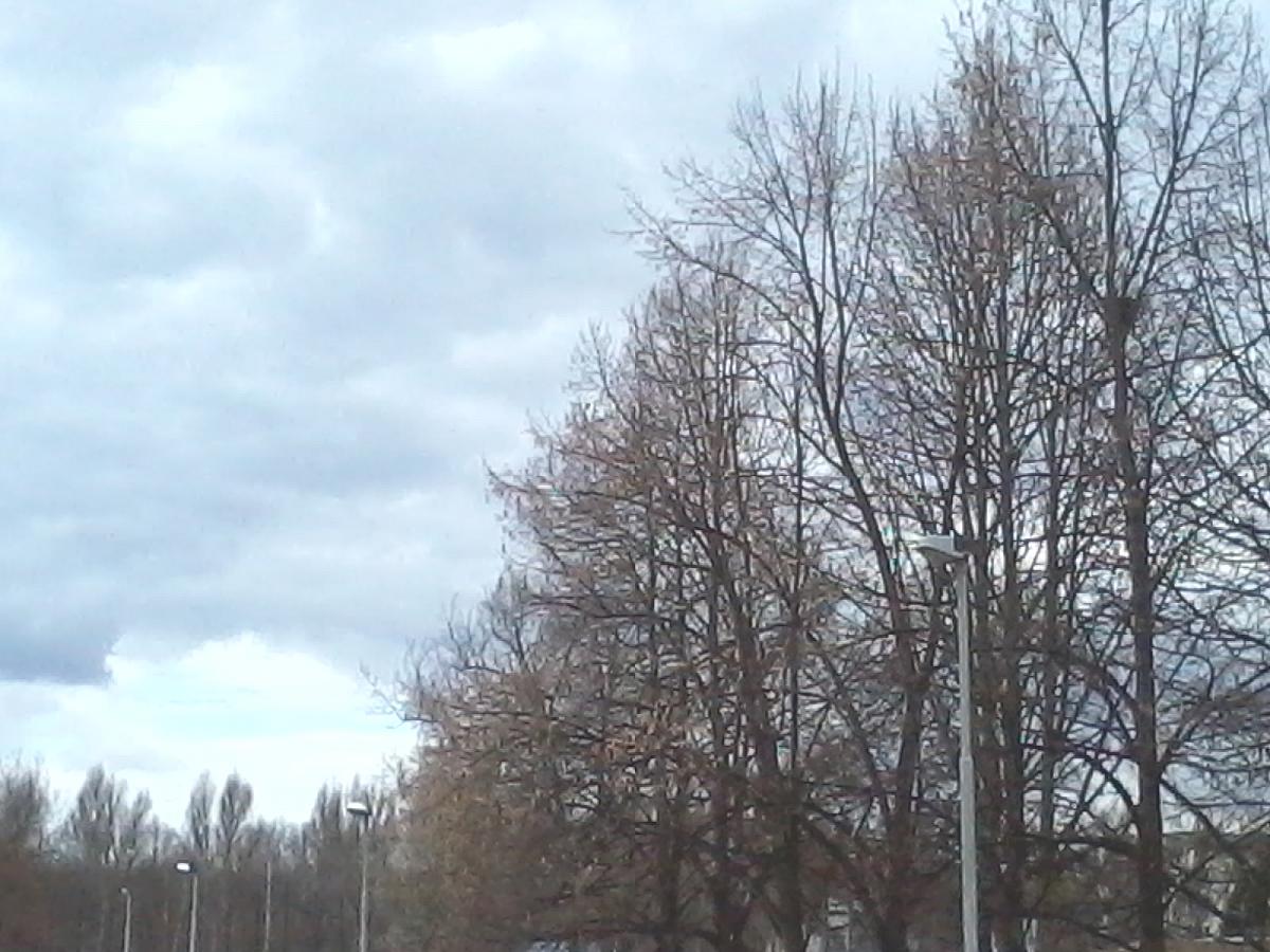 České Budějovice
